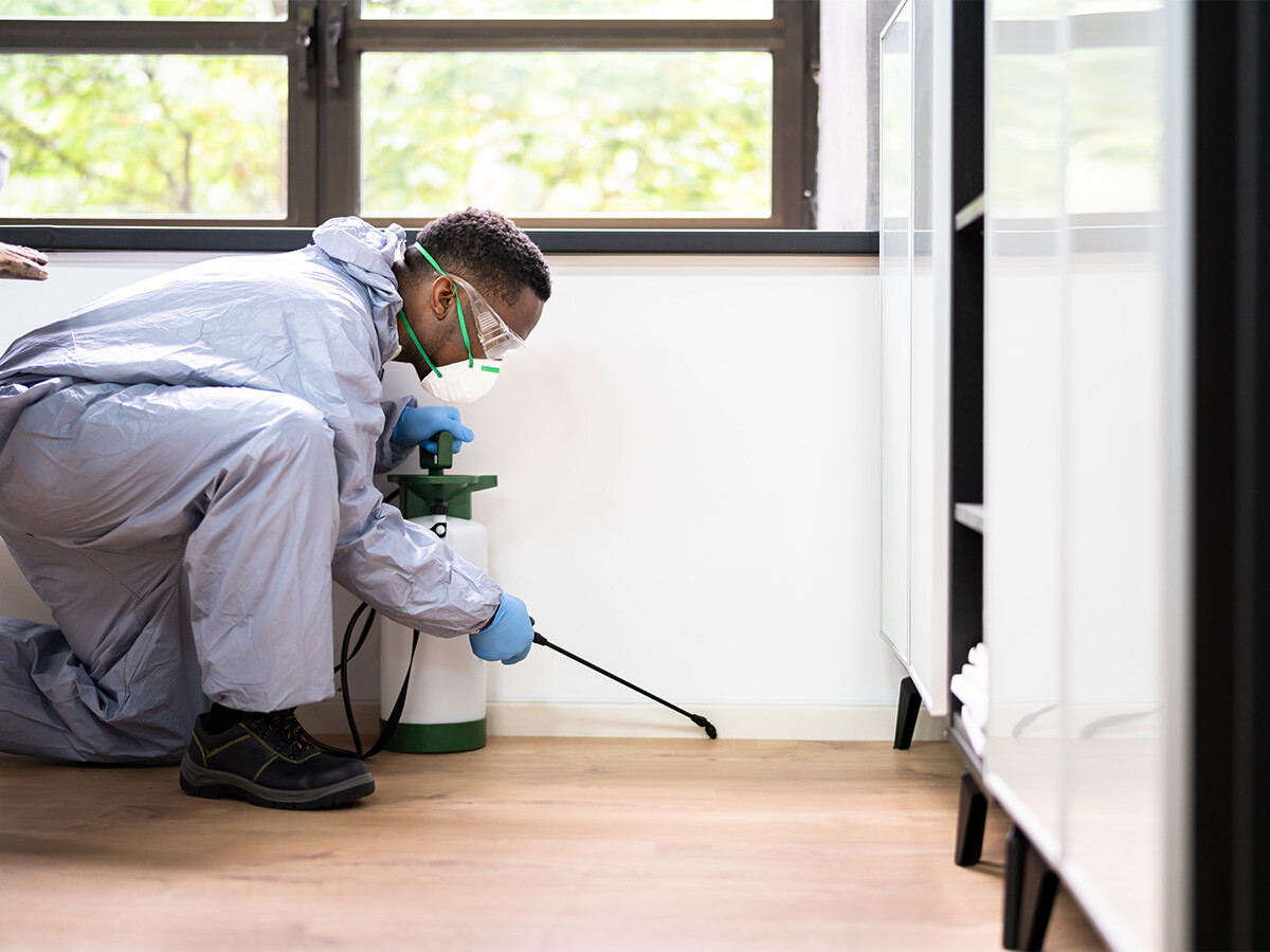 Eco-Friendly Pest Control Services: Promoting Environmental Responsibility and Conservation