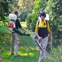 Sustainable Pest Management: A Path to Safe Pest Control